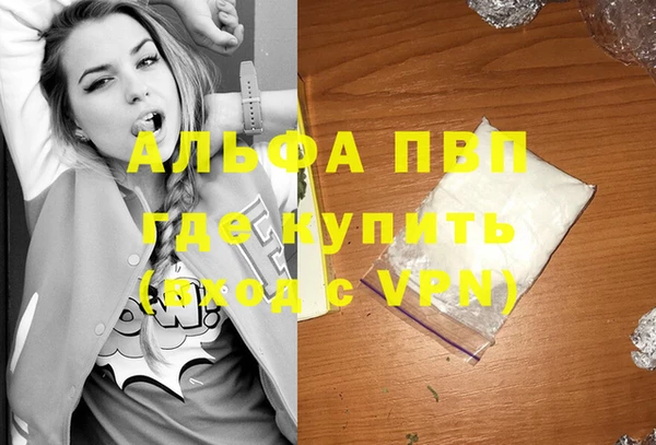 гидра Верхний Тагил