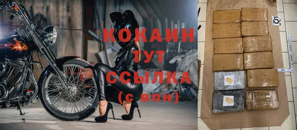 гидра Верхний Тагил