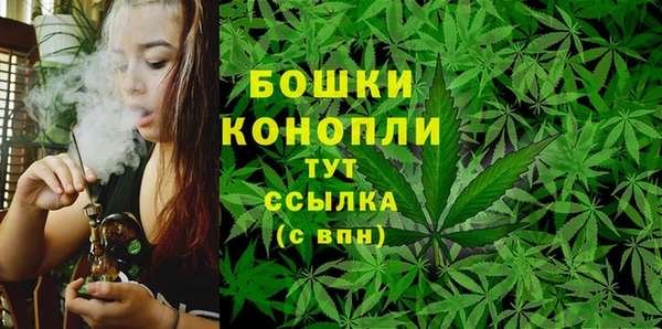 твердый Володарск