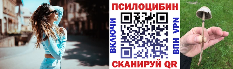 omg онион  Онега  площадка клад  Псилоцибиновые грибы Psilocybine cubensis 